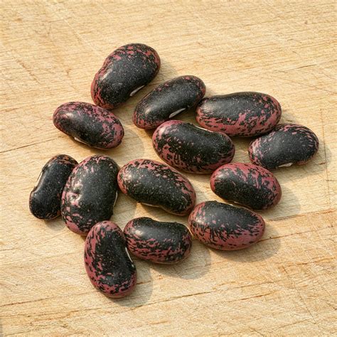 Scarlet Emperor Bean Seeds Ne Seed