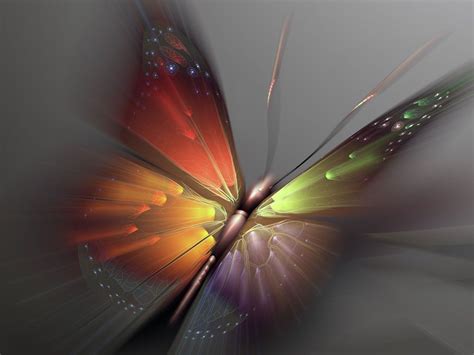 Colorful Abstract Butterfly Butterfly Art Butterfly Wallpaper Art