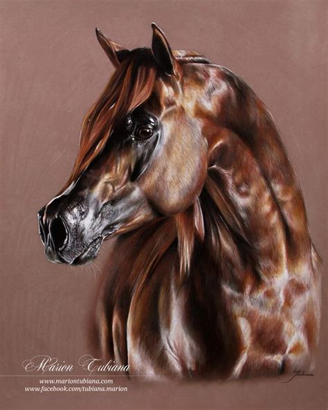 139 Tubiana Marion Pastels Et Photographies Horse Art Ideas