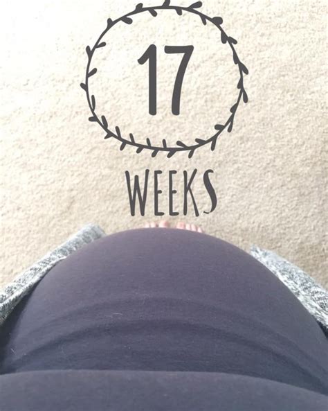 17 Weeks Pregnant With Twins Update Budget Savvy Diva