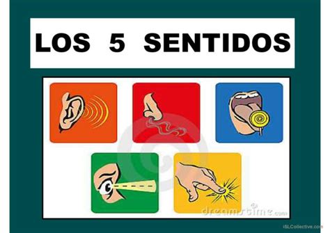 Los 5 Sentidos Español Ele Powerpoints