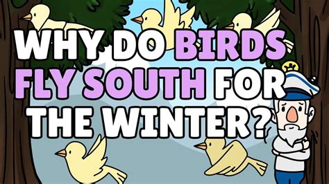 Why Do Birds Fly South For The Winter Best Learning Videos For Kids