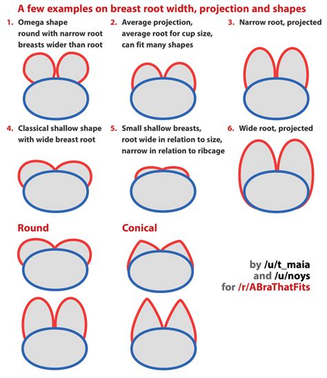 There are enormous differences in cup size notation between apart from the differences in cup size notation, there is another major possible difference in international bra unfortunately, these are often inacurate. Bra Fitting Graphics - What Bra Sizes Look Like