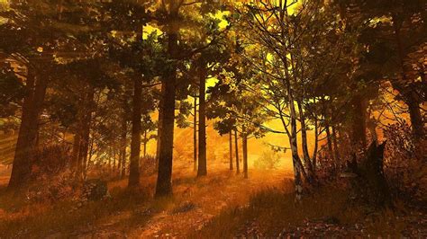 Autumn Forest 3d Screensaver And Live Wallpaper Hd Autumn