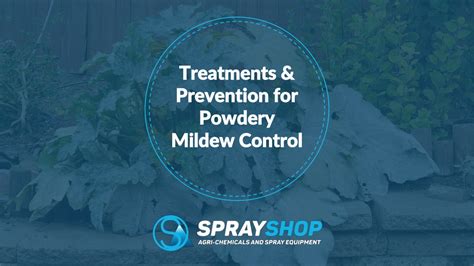 PPT Treatments Prevention For Powdery Mildew Control PowerPoint