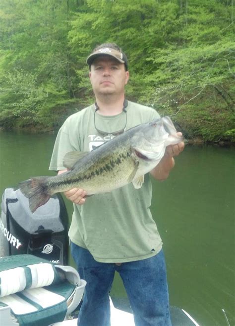 Kentucky Department Of Fish And Wildlife Michael Carters Donated Bass