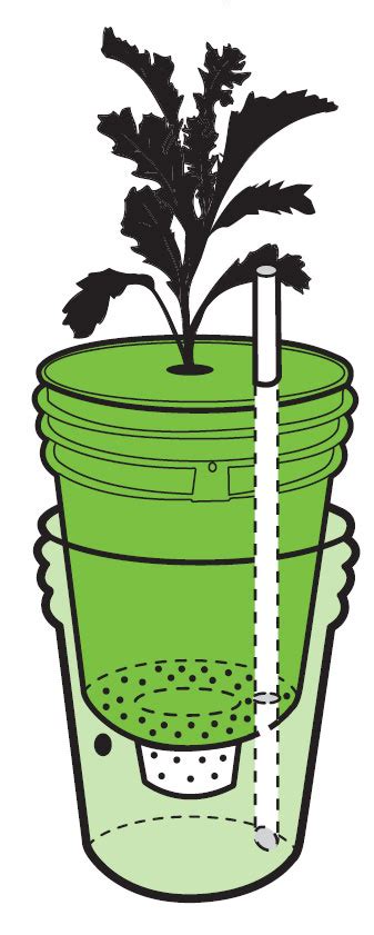 Build A Self Watering Container Do It Yourself Mother