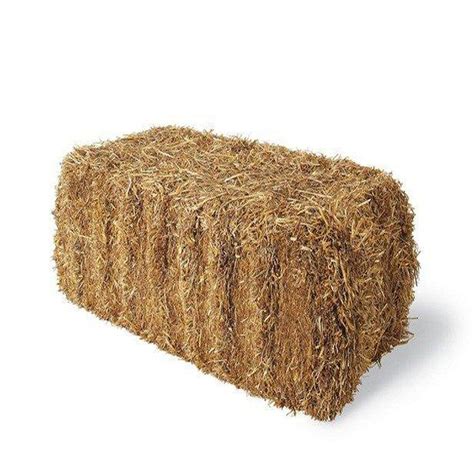 Baled Wheat Straw 875333 The Home Depot