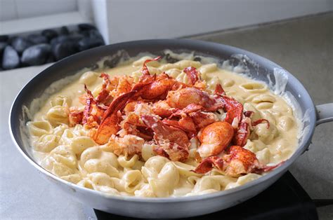 Best Truffle Lobster Mac And Cheese Recipe Besto Blog