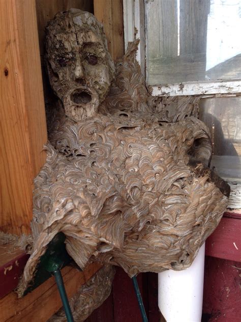 Humanoid Wasps Nest Built Over An Abandoned Sculpture Boing Boing