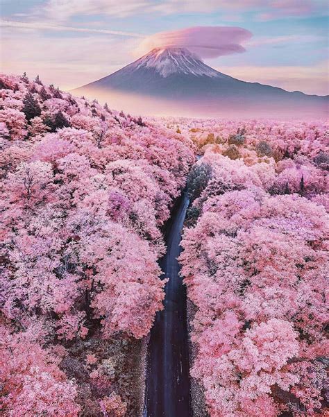 Spring Time In Japan Cherry Blossom Japan Beautiful Landscapes
