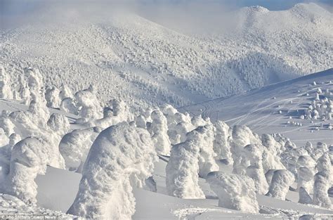 Sho Shibata Captures The Snow Monsters Of Northern Japan