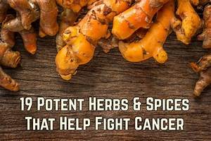 19 Potent Herbs & Spices That Help Fight Cancer  Brain Tumor Herbal Medicine