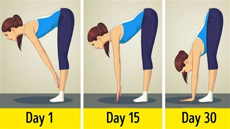 20 Beginner Yoga Poses For Flexibility