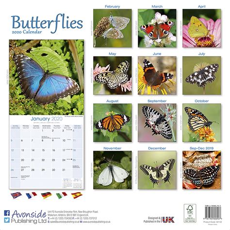 Butterflies Calendar 2020 Pet Prints Inc