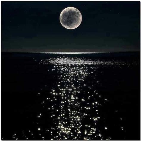 Full Moon Over Water Talking To The Moon Pinterest