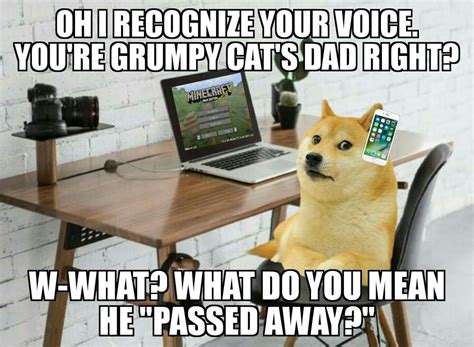 Doge Plays Minecraft With Grumpy Cat Dank Memes Amino