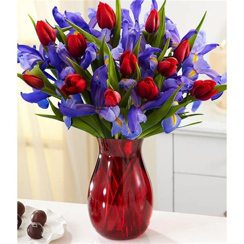 A Dozen Hugs A Dozen Kisses With Free Glass Vase Flowers Price