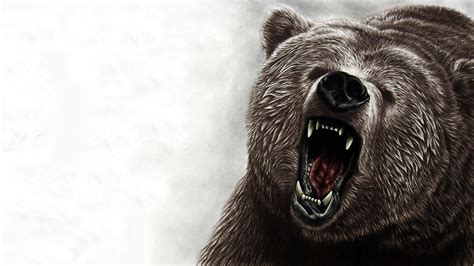 Wallpaper Hd Bear Cool Wallpapers