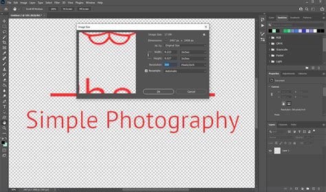 How To Vectorize An Image In Photoshop Step By Step Guide Shack Design