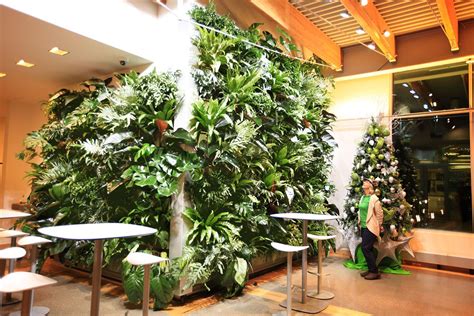 Healthy Interiors Indoor Plant Wall Vertical Plant Wall Living Wall