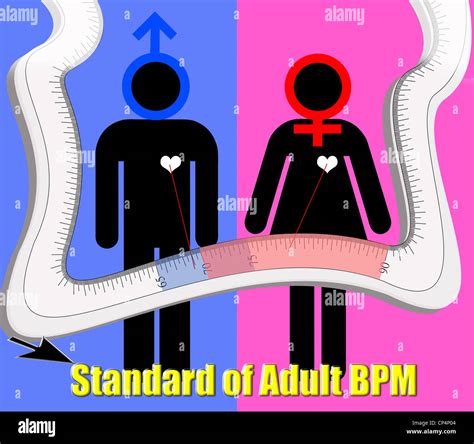 Standard Of Adult Heart Beat Per Minute Stock Photo Alamy