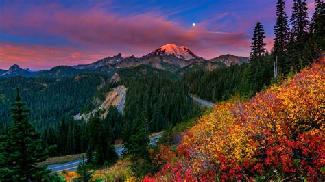 Beautiful Scenery View Of Mountains Peak And Colorful Flowers Plants