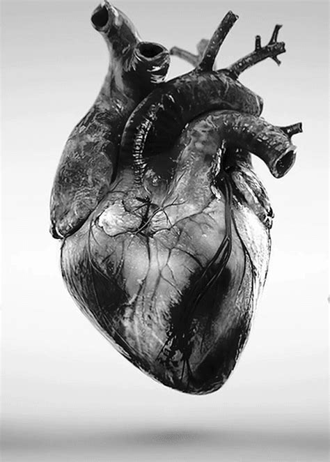 Real heart beating 44308 gifs. real heart gifs | Tumblr