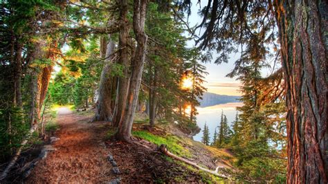 Nature Hdr Landscape Lake Trees Forest Path Dirt Road Wallpapers