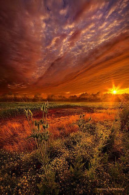 Sunset In Summer Field ~ Marvelous Nature Scenery Beautiful Nature