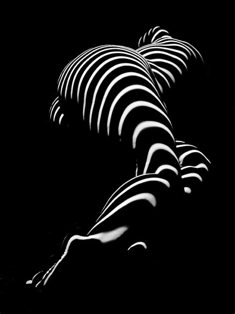 0774 AR Zebra Striped Figure Of A Large Woman Fine Art Photograph By