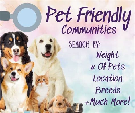 As an option, pets best makes it easy to pay your vet directly when a claim occurs with just one simple form signed by your veterinarian. Pet Friendly Condos For Sale | Buy In The Bay Realty Group ...