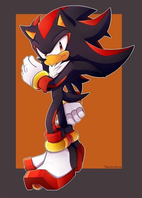 Shadow The Hedgehog Hedgehog Game Silver The Hedgehog Sonic The