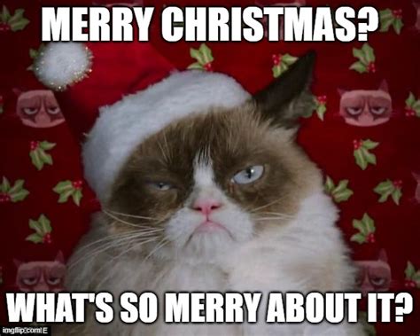 Grumpy Cat Christmas Imgflip