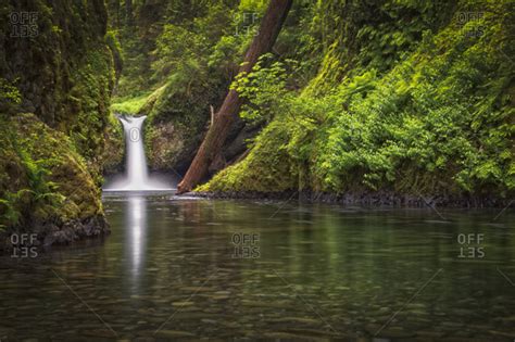 Usa Oregon Hood River County Punch Bowl Falls Along Eagle Creek In