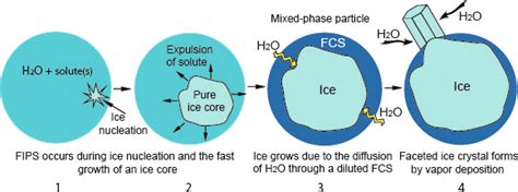 Ice Clouds Atmospheric Ice Nucleation Concept Versus The Physical