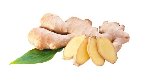 Collection Of Ginger Hd Png Pluspng