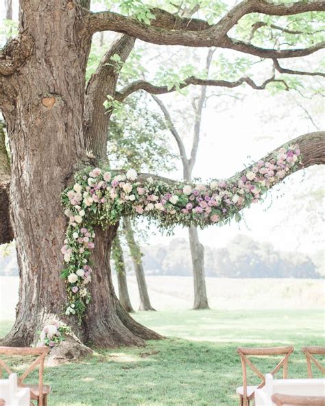 20 Ways To Decorate A Wedding Ceremony Held Beneath Trees Tree