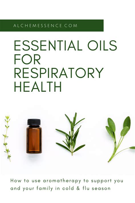 Essential Oils For Respiratory Health How To Use Aromatherapy To