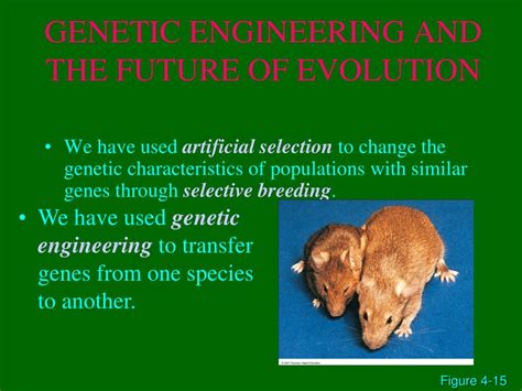 Ppt Biological Evolution Powerpoint Presentation Free Download Id