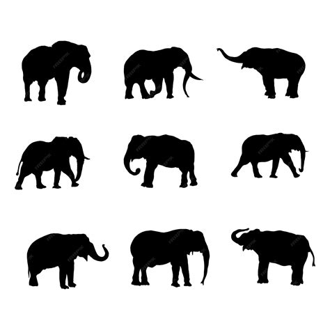 Colección De Siluetas De Elefantes Para Composiciones Artísticas