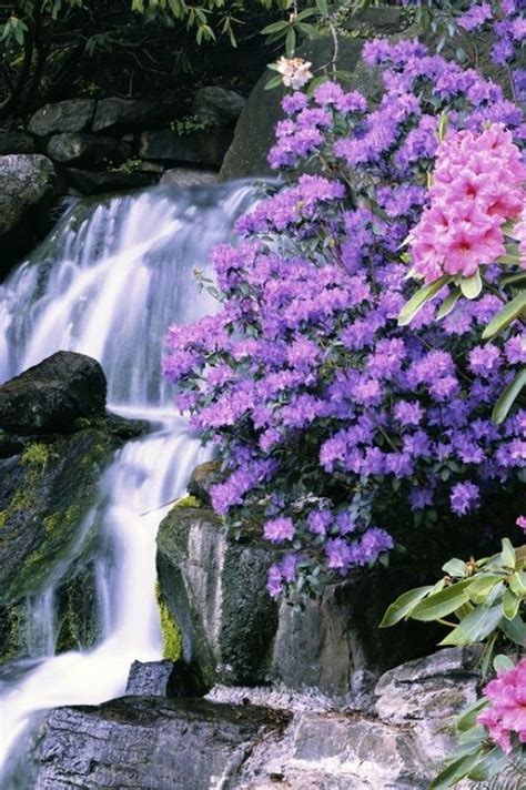 Flowers Waterfall Beautiful Waterfalls Beautiful Landscapes