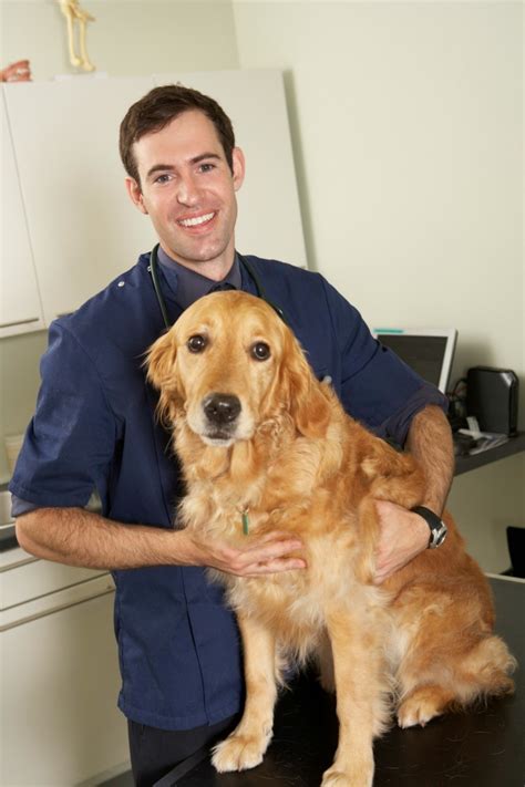 Offers free cat neutering service for owners in greater london who cannot afford to pay. Spaying or Neutering Your Pets | ThriftyFun