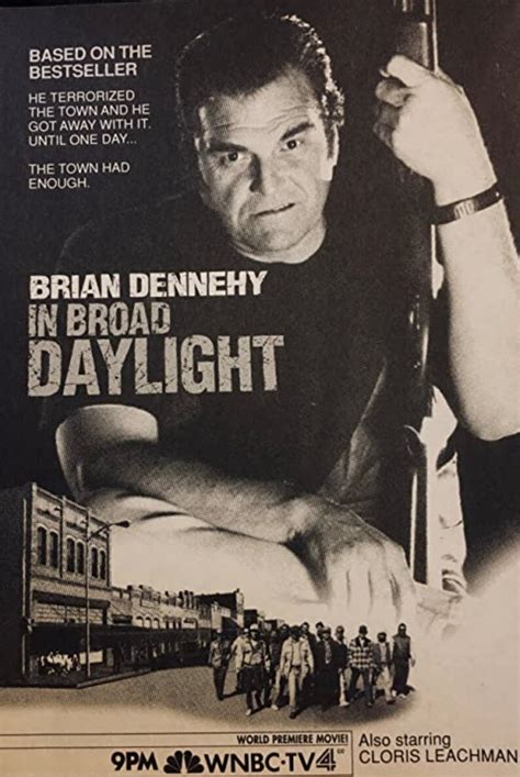In Broad Daylight Dvd 1991 Brian Dennehy Marcia Gay Etsy