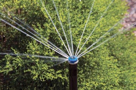 Whats The Best Lawn Sprinkler Angies List