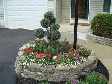The 3 balls in front are chamacyparis psifera gold mop. Blue Spruce "Pom Pom" with various annuals | Garden shrubs ...