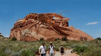 Gifs National Park Lobster Christmas Arches Holiday