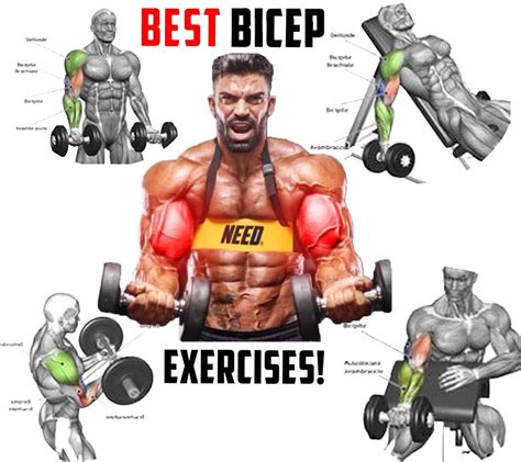 Best Bicep Workout With Weights Off 54