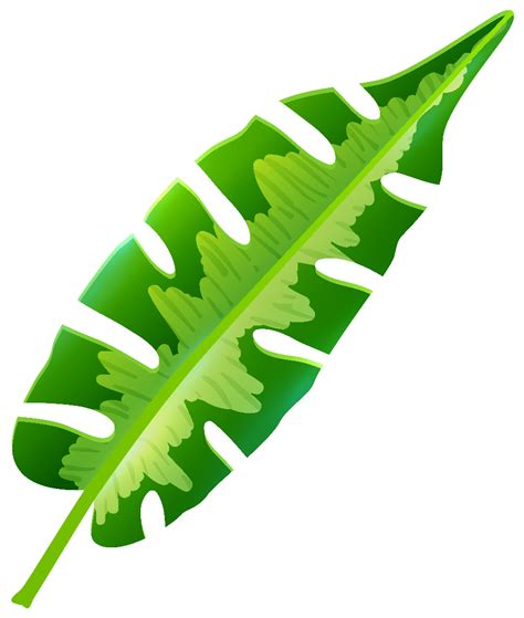 Download High Quality Leaves Clipart Tropical Transparent Png Images