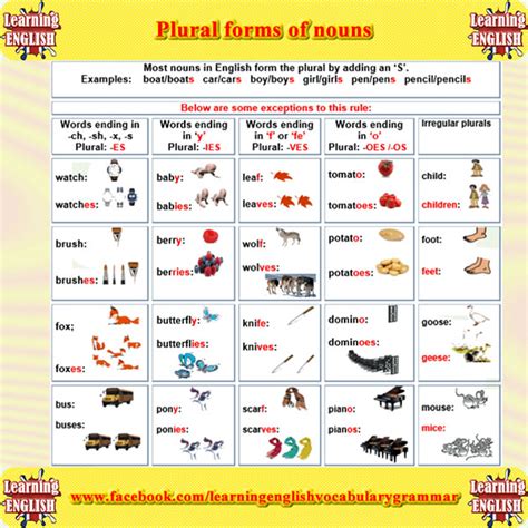 Plural Forms Of Nouns Vocabulary Home